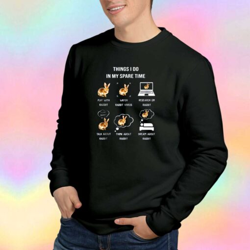 Things I Do In My Spare Time Play With Rabbit tee Sweatshirt
