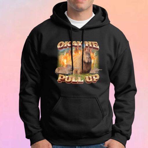 Okay He Pull Up Capybara tee Hoodie