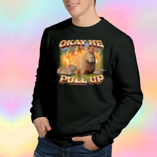 Okay He Pull Up Capybara tee Sweatshirt