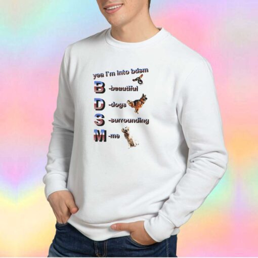 Yea Im into BDSM Funny Sweatshirt