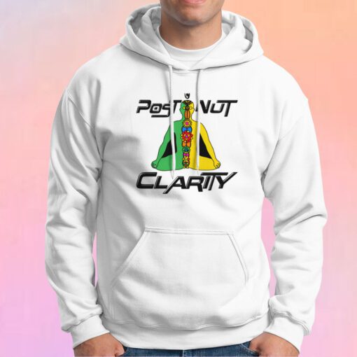 Post Nut Clarity Hoodie