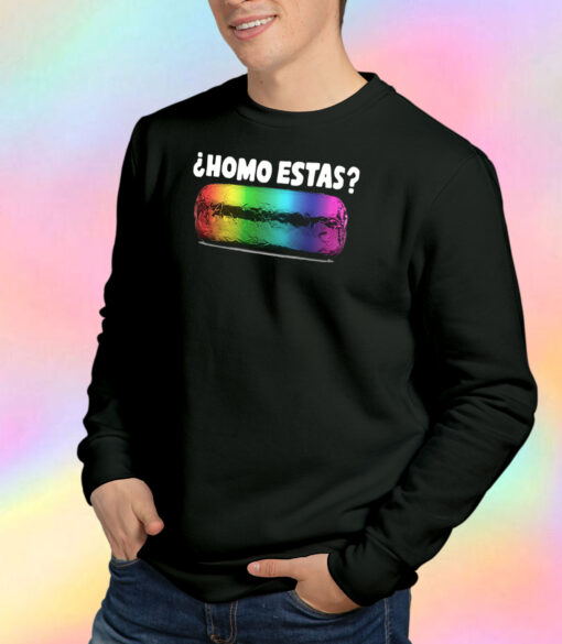 homo estas Sweatshirt